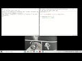 How to use If statements (If, Elif, and Else) and the input() function in Python