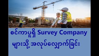 16. How to find Land Surveyor Job at the Survey Company in Singapore