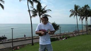 lele happyday~mahana~ukulelepicnic in hawaii2011~（MAHANA　TV)