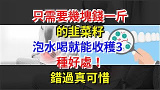 只需要幾塊錢一斤的韭菜籽，泡水喝就能收穫3種好處！錯過真可惜