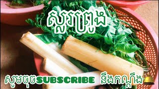 បង្ហាញពីរបៀបស្លរព្រូង