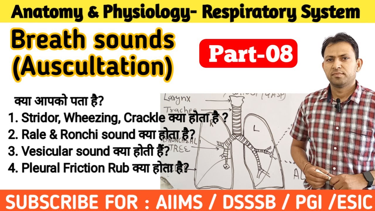 Lung Sounds - Normal And Abnormal (Stridor, Croup, Wheezing, Ronchi ...