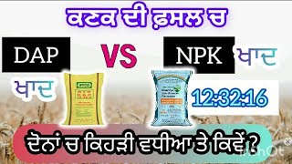 ਕਣਕ ਚ ਡੀ ਏ ਪੀ ਦੀ ਜਗਾ 12:32:16 ਪਾਉਣ ਦਾ ਇਹ ਵੱਡਾ ਫਾਇਦਾ | DAP vs NPK 12 32 16 best one