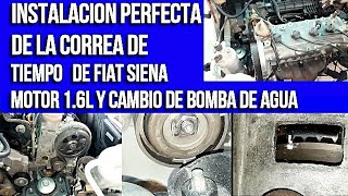 Instalación de la Correa del Tiempo en Fiat Siena 1.3L: Guía Paso a Paso