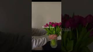 Flowers 💐 #flowers #shorts #viral #status #soothing #video #uk #roses #tulip #lilly #sunflower