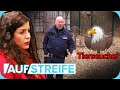 Gestohlenes Geld & totkranke Tiere? Kurioser Fall um ein Tierheim  🦅 | Auf Streife | SAT.1