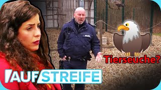 Gestohlenes Geld \u0026 totkranke Tiere? Kurioser Fall um ein Tierheim  🦅 | Auf Streife | SAT.1