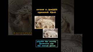 யானையின் உருவத்தில் பறவைகள் சிற்பம்😮 #tamil #historical #shortsviral #shortvideos #viral #ytshorts