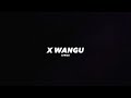 Sijutii x wangu