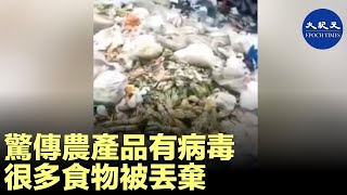 北京新發地批發市場傳農產品有染中共病毒，很多食物被丟棄，批發市場變垃圾場| #香港大紀元新唐人聯合新聞頻道