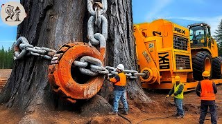 25 Amazing Chainsaw Machines Working Fastest | Monster Stump Removal Excavator