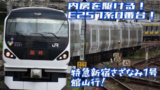 【不定期運行】E257系0番台の新宿さざなみ号に乗ってきた