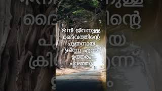 നിന്നെ പരിഹസിച്ചവരുടെ മുൻപിൽ നിന്നെ ഉയർത്തും ദൈവം. #shorts #shortfeed #subscribe #motivation