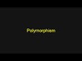Python Tutorial - Polymorphism