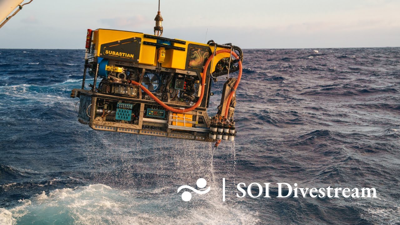 Lance 27 1 Mar Del Plata Canyon Soi Divestream 821 Youtube