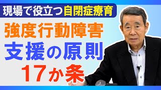 強度行動障害 支援の原則 17か条 / 現場で役立つ自閉症療育