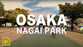 大阪長居公園 散歩 [4K] Walking in Nagai Park OSAKA JAPAN