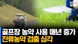 골프장 농약 사용 매년 증가 잔류농약 검출 심각