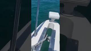 How to properly anchor by using a snubber so you don't break your windless ￼￼