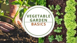 Vegetable Garden Basics for North Texas