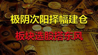 【射手教股】2025-02-06 极阴次阳择幅建仓，在板块中如何运用，建构搭上东风再起航！