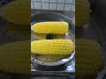 steamed corn  #shorts