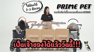 รีวิว Unbox BERND Prime Pet รถเข็นสำหรับสัตว์เลี้ยง ฉบับเต็ม #ใหม่ล่าสุด #BERND #keenzthailand