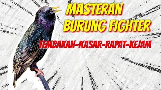 MASTERAN SUARA BURUNG NEMBAK KASAR || awas bikin lawan diam