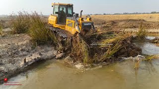 Amazing Skillful Dozer Push Clean Trimming Slope Into Water and Clearing Land For Landfilling