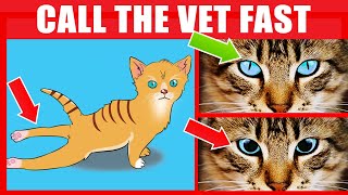 If Your Cat Does This, IMMEDIATELY Call The Vet (16 Signs Your Cat Needs Urgent Help)