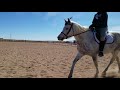 interdressage natalie hummell u0026 realzippinpicklinpatsy class 1b march 2018