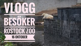 vlogg - besöker rostock zoo