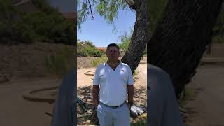 Student Lesson review of Tony Emma, PGA Golf Professional June 2019