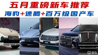 五月重磅新车：海豹登场速腾改款，最后一款国产车价格或破百万