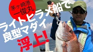 ライトヒラメ船で良型マダイ浮上！