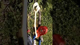 Prusik Knot with micro pulley and climbing first big Oak tree for this rookie. June 19,2015 Video 1