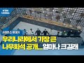 우리나라에서 가장 큰 나무화석 공개...얼마나 크길래 / YTN 사이언스