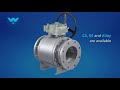 Williams Valve Trunnion Mounted Ball Valve