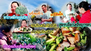 EP338.​ผัดบล๊อก​โ​คลี่​หมูกรอบ​ สามีติดใจ​ ตัดมาสดๆ ฝรั่ง​หุงข้าว​ วิธีเก็บบล๊อกโคลี่สดนานเป็นเดือน