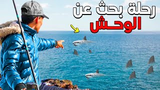 طريق أصفر ولبحت عن لوحوش🦈🐙🐡 دعواتكم الاخوان فشي رزق 🛎🛎🤿👊