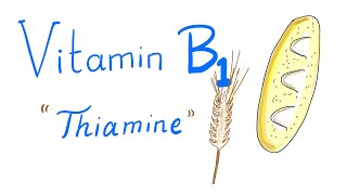 Vitamin B1 (Thiamine): Whole grain 🥖 🌾