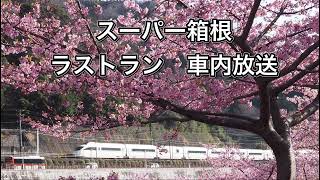 感動の車内放送　VSE 最後のスーパー箱根号　ラストラン　新宿→小田原