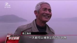 長江生態每況愈下 特有白鱘恐近滅絕 20200121 公視早安新聞