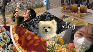 #vlog-8 / 던킨도너츠🍩 / 캘리포니아피자키친🍕 / 구도로통닭🍗 / 그대에게 드리는 꽃💐 / 징기스🍖 / 곧은☕️ / 월미도🎡 / 한강 공원🏞 / 겸댕 두부🐶