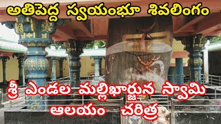 శ్రీ ఎండల మల్లిఖార్జున స్వామి ఆలయం చరిత్ర | ప్రపంచంలో అతిపెద్ద శివలింగం | టెక్కలి రావివలస శ్రీకాకుళం