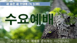 2024년 12월 11일 평산교회 수요예배  - 실시간