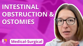 Gastrointestinal System: Intestinal Obstruction & Ostomies - Medical-Surgical (GI) | @LevelUpRN