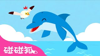 海豚 🐬 | 認識海洋動物 | 海洋動物兒歌 | 臺灣配音 | 鯊魚寶寶 兒歌 童謠 | Baby Shark l Kids Song l Nursery Rhymes | 碰碰狐 Pinkfong