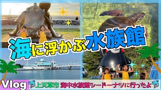 ✨海に浮かぶ水族館🐬　 おもいでVlog⭐️　〜上天草市　海中水族館シードーナツに行ってきたよ♪〜✨#上天草市#海中水族館シードーナツ#ディッピンドッツ天草パールガーデン