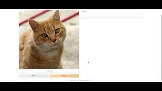 AI Image to Text App Tutorial | Using BLIP Image Captioning and Streamlit